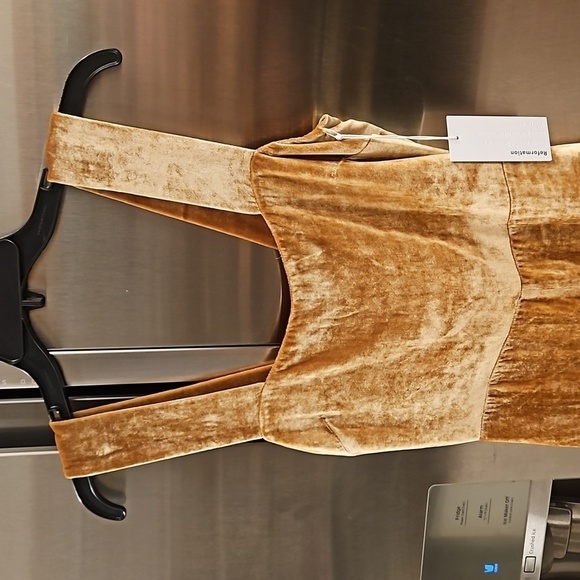 💕REFORMATION💕 Emira Velvet Dress ~ Gold 2 NWT - Picture 12 of 16